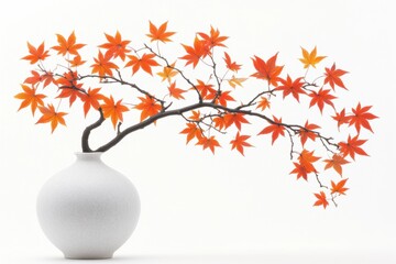 elegant white vase with vibrant autumn maple branch