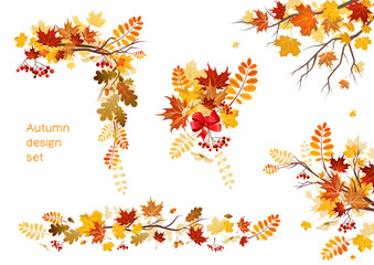 Wall Mural - Autumn mixed leaves set