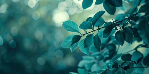 Wall Mural - A close-up of vibrant teal leaves, bathed in soft, out-of-focus sunlight, creating a calming and natural backdrop. This image symbolizes serenity, growth, nature, tranquility