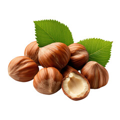 Fresh hazelnuts with green leaves isolated on a transparent background.