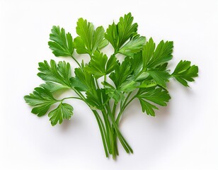 Parsley isolated. Parsley herb on white background. Fresh Parsley leaf top view, flat lay.