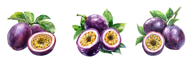 Wall Mural - Watercolor passion fruit set. 