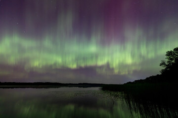 celestial green curtains: aurora borealis over typo lake in stacy, minnesota - a serene nightscape o