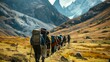 © mirifadapt - hikers leading a group of novices on a guided trek