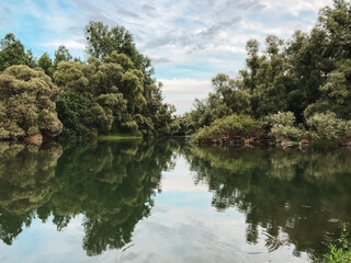 Sticker - A calm lake with trees in the background