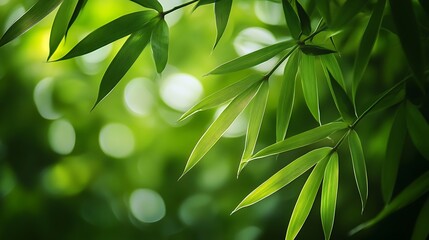 Wall Mural - Close-up of Green Bamboo Leaves with Blurred Background