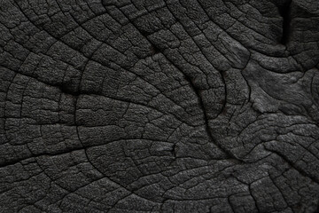 Wall Mural - Black old wood grain background with natural cracks. Use a dark wood plank as the background..