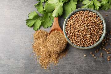 Canvas Print - Dried coriander seeds in bowl, powder and green leaves on grey table, top view. Space for text