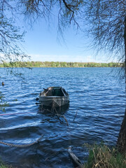 Wall Mural - A small boat is floating in the water near a tree