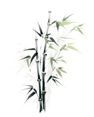 Wall Mural - PNG Bamboo plant white background branch.