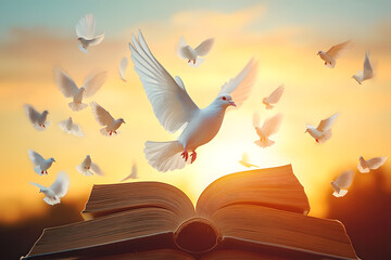 Wall Mural - White pigeons fly out of books that are flicked by the wind in beautiful light on sunset background.freedom concept and international day of peace