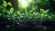 © Devian Art - A row of young green plants growing in soil, with a blurred green background and bokeh effect.