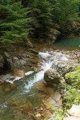 Wall Mural - Mountain river with transparent foamy water and rocky bottom