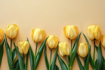 Wall Mural - beautiful spring yellow tulips flowers on light background top view, beautiful floral template with copy space