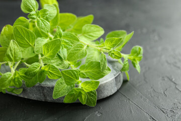 Sprigs of fresh green oregano on dark gray textured table, closeup