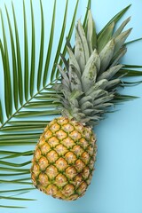 Wall Mural - Fresh ripe pineapple and palm leaf on light blue background, top view