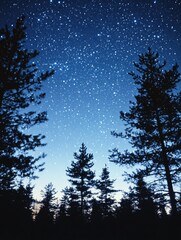 Wall Mural - Starry Night Sky