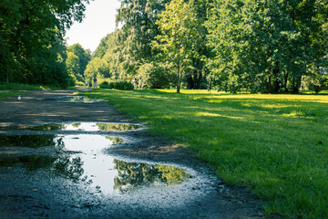 A park with a path and a pond