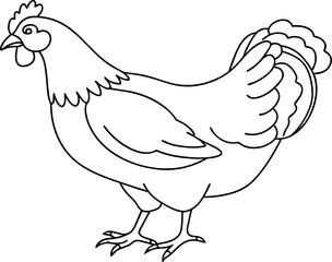 Black And White Chicken Line Drawing For Coloring