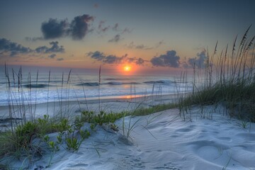 Wall Mural - A serene sunset scene over the ocean on a peaceful beach