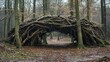 © jitthanant - Shelter created by fallen trees and branches fostering dynamic forest regeneration processes, forest shelter dynamics, forest succession
