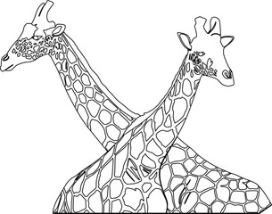 Wall Mural - Line art giraffe illustration background