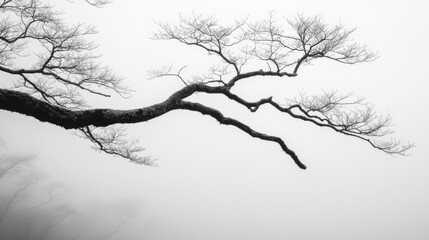 Wall Mural - Tree branches in the mist, AI generated Image