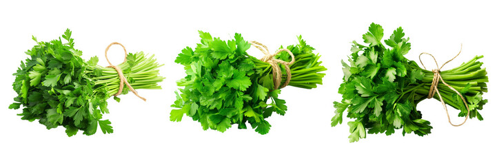 Wall Mural - Fresh parsley bunches on transparent background