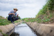 © kamonrat - Farmer Inspecting Water Flow in Irrigation Canal, Monitoring Agricultural Water Management and Sustainability in Crop Production