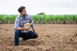© kamonrat - Contemplative Farmer Sitting on Barren Land, Reflecting on the Challenges of Agriculture, Drought, and the Unpredictability of Nature in a Rural Farm Setting