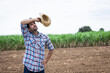 © kamonrat - Farmer in a Checkered Shirt Wiping Sweat with His Hat in a Field, Reflecting the Challenges and Hard Work of Traditional Farming Under the Hot Sun in Rural Agricultural Settings