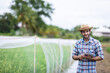 © kamonrat - Smiling Young Farmer in Straw Hat Using Digital Tablet in a Field, Standing Next to Protective Netting, Representing the Modernization and Technological Advancements in Sustainable Agriculture