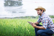© kamonrat - Young Farmer Crouching in a Lush Green Field, Holding a Tablet and Smiling, Symbolizing the Integration of Digital Technology in Modern Agriculture for Improved Crop Management and Sustainability