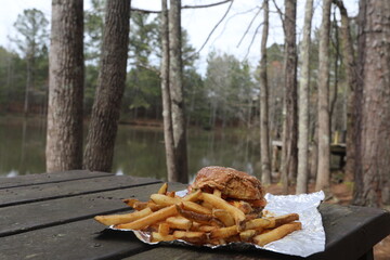 Burger Fries on picnic table nature