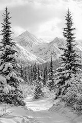 Wall Mural - snowy tree silhouette