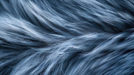  Soft blue-gray fur strands flow together, catching the light beautifully