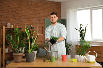 Poster - Young handsome man transplanting plant in room