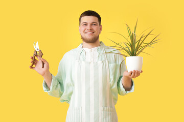 Canvas Print - Young handsome man with pruners and houseplant on yellow background