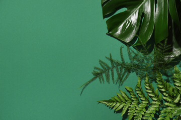 Poster - Different tropical leaves on green background