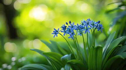 Wall Mural - Wild plant summer blossom. Generative AI