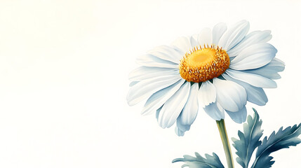 Wall Mural - A close-up illustration of a white daisy flower with green leaves against a light background.