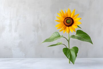 A sunflower in bloom with an architectural cross-section as the backdrop, showing the juxtaposition of nature and human design. List of Art Media architectural blueprint background realistic