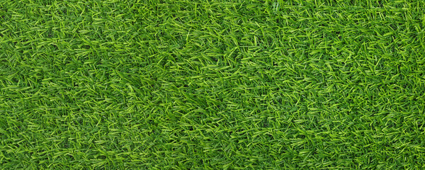 Wall Mural - Green artificial grass as background, banner design