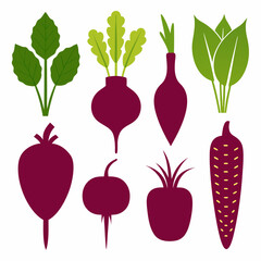 Wall Mural - full set beetroot carrot beets turnip corn vector illustration