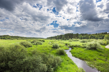 Wall Mural - a field of grass with a small stream running through it