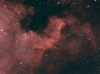 Wall Mural - astrophotography ngc 7000, c20 north america nebula