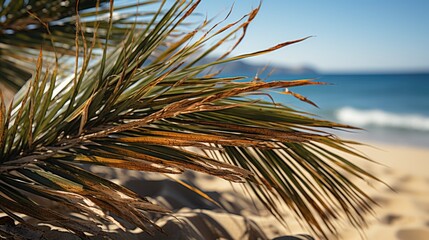 Sticker - beach with palm trees  