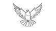 © Ibrahim - line art drawing of a pigeon flying