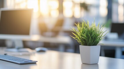 Wall Mural - A sunny office workspace with a plant on the desk during the afternoon