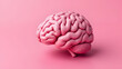 © JohnDesignHub - Pink model of a human brain on a solid pink background
